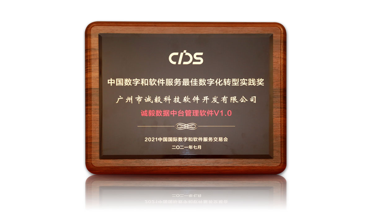 中國數(shù)字和軟件服務(wù)最佳數(shù)字化轉(zhuǎn)型實(shí)踐獎(jiǎng)